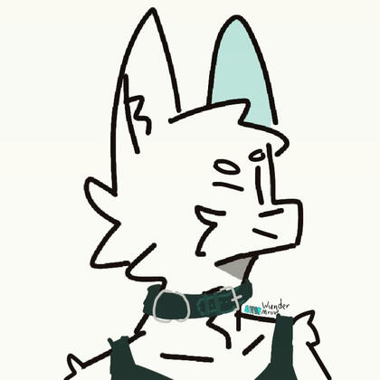 Wunder_Logo.png